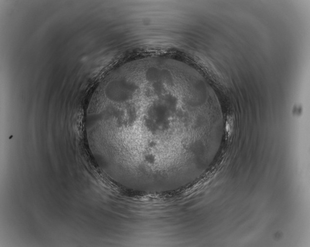 X0000100370867200806131035