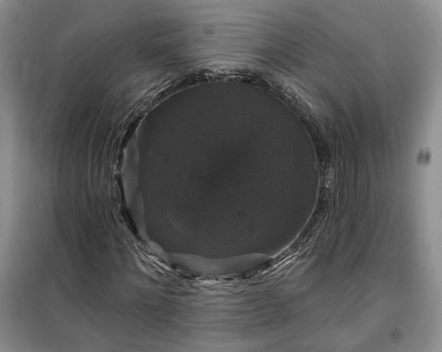 X0000100370868200806131035