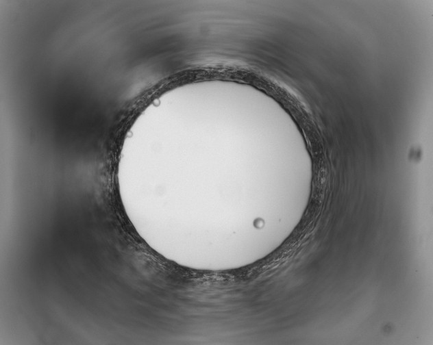 X0000100370869200806131035