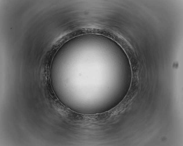 X0000100370870200806131035