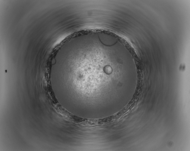 X0000100370871200806131035