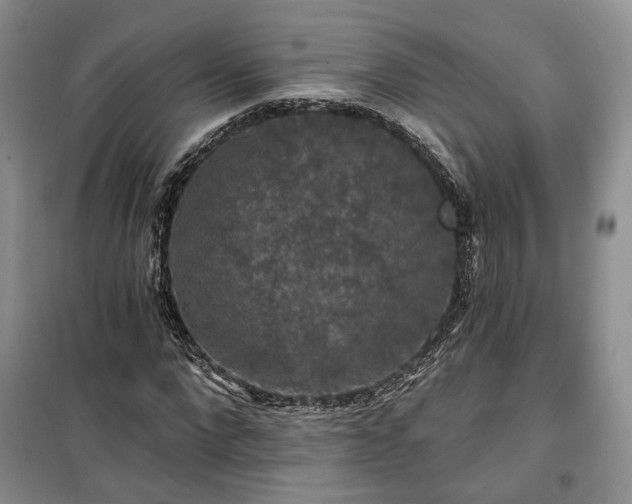 X0000100370872200806131035