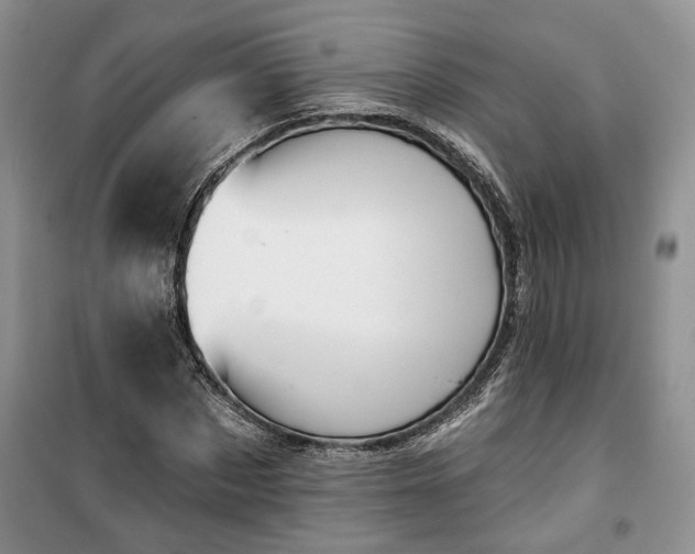 X0000100370873200806131035