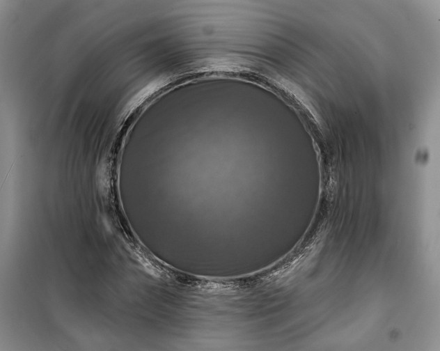 X0000100370874200806131035