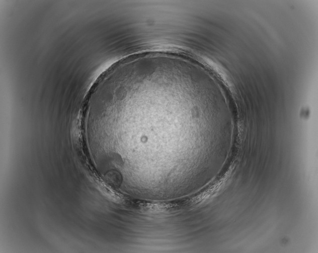 X0000100370875200806131035