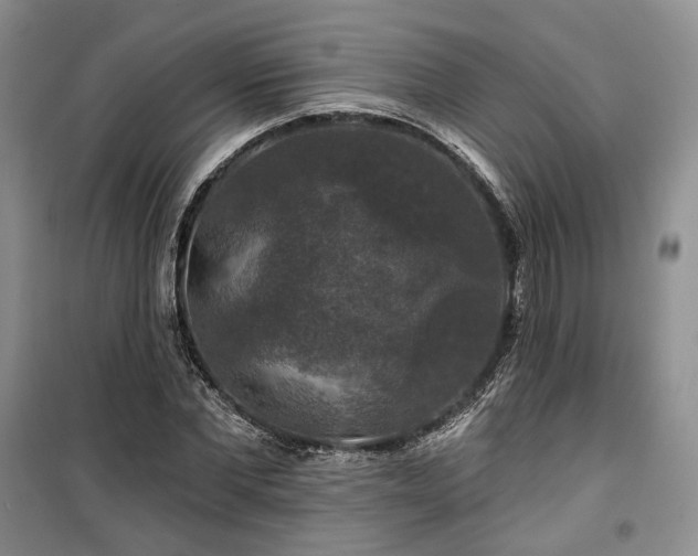 X0000100370877200806131035