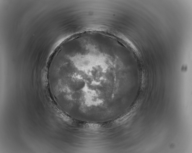 X0000100370878200806131035