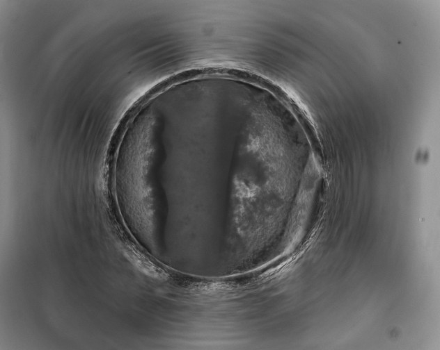 X0000100370879200806131035