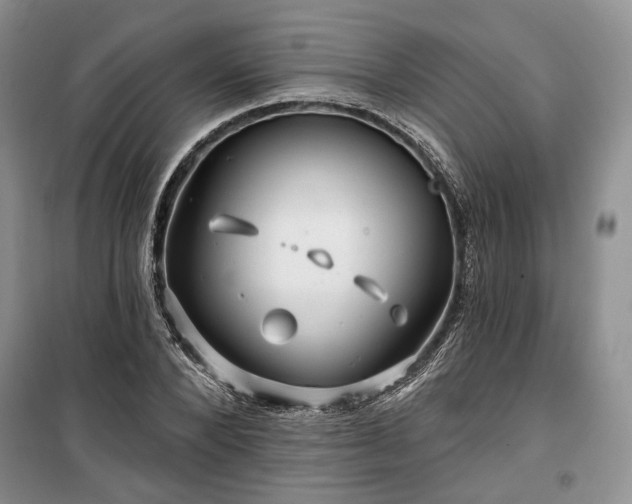 X0000100370880200806131035