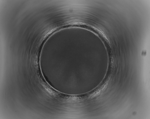 X0000100370881200806131035