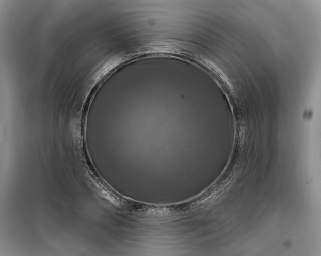 X0000100370882200806131035