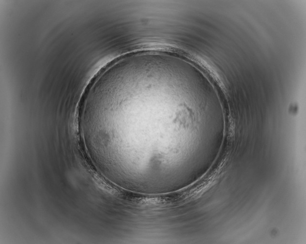 X0000100370883200806131035