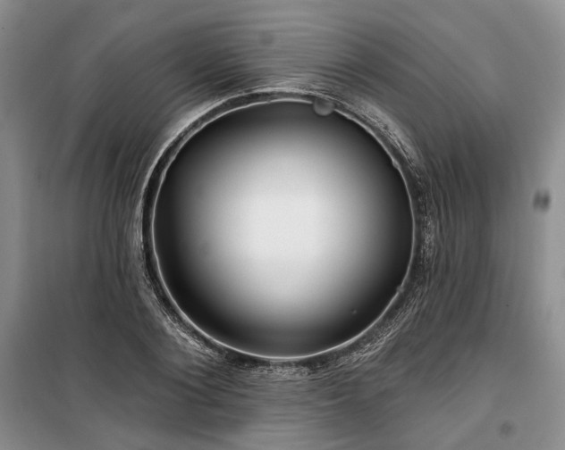 X0000100370884200806131035