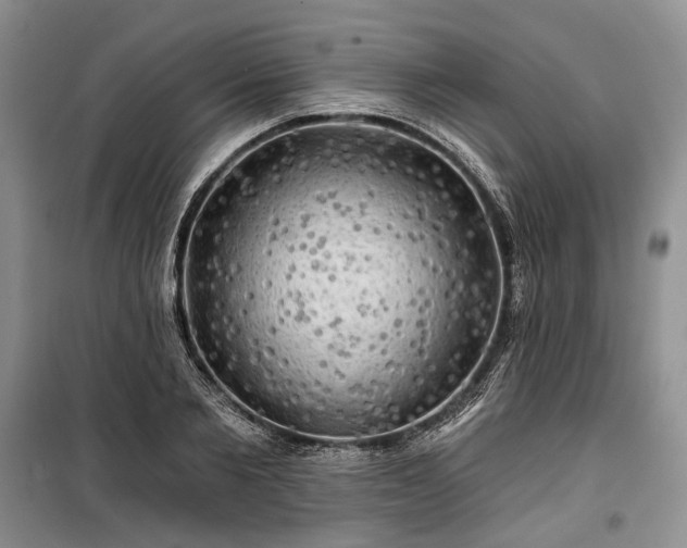 X0000100370885200806131035