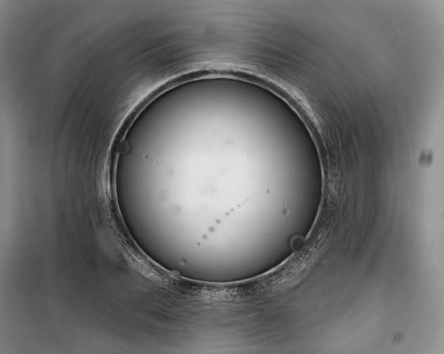 X0000100370887200806131035