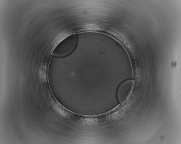 X0000100370889200806131035