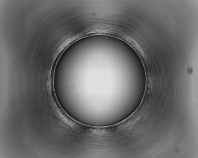 X0000100370890200806131035