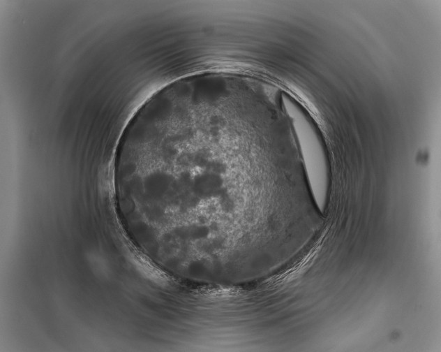 X0000100370891200806131035