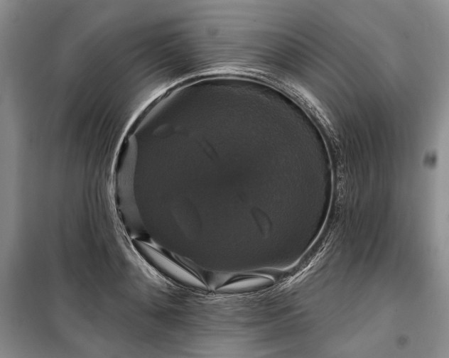 X0000100370892200806131035