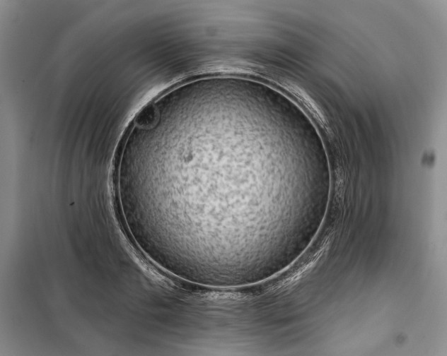 X0000100370893200806131035