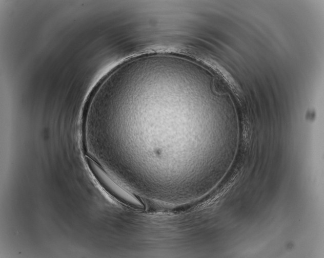 X0000100370894200806131035