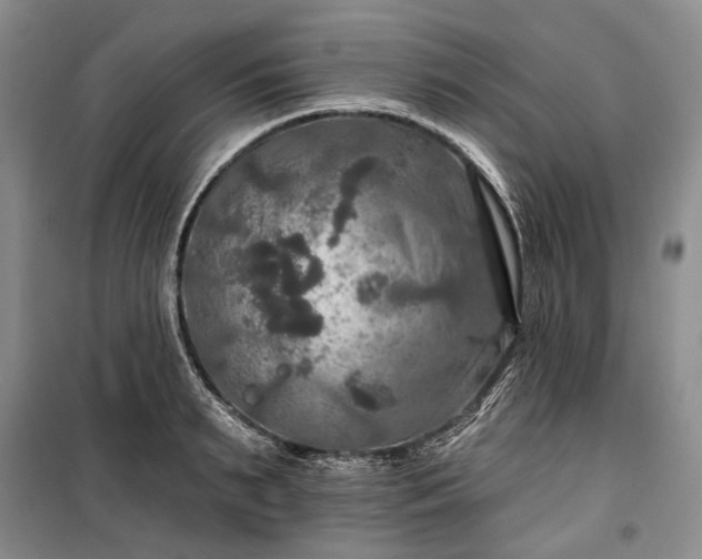 X0000100370895200806131035