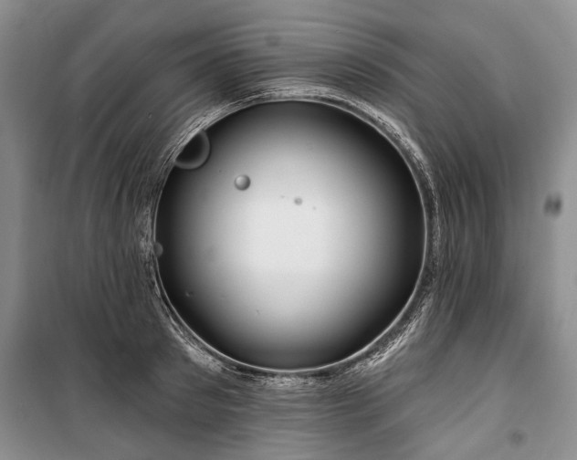 X0000100370897200806131035