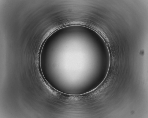 X0000100370898200806131035