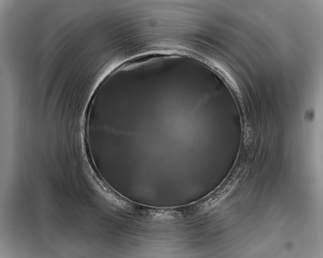 X0000100370899200806131035