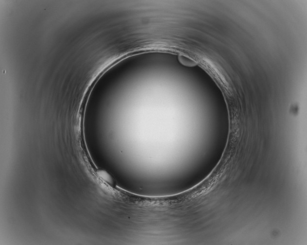 X0000100370900200806131035