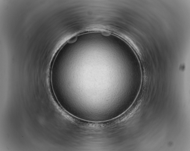 X0000100370901200806131035