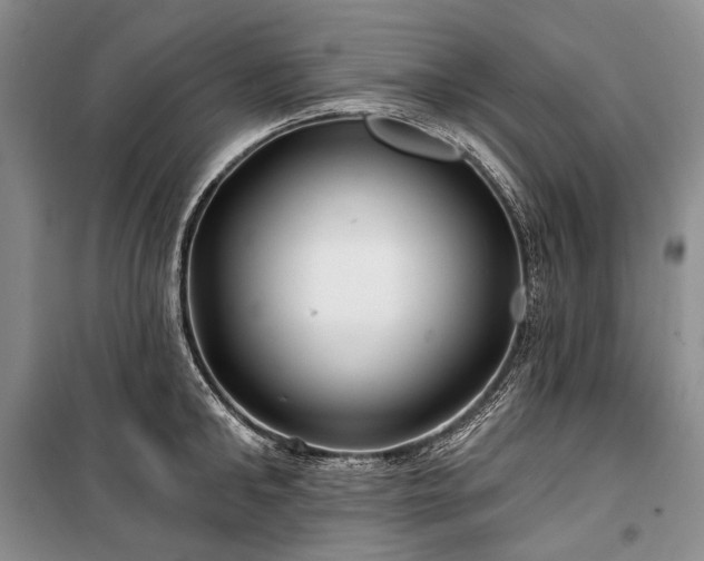 X0000100370902200806131035