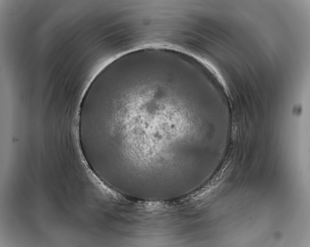 X0000100370903200806131035