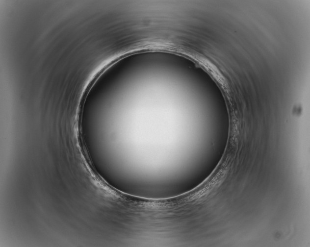 X0000100370904200806131035