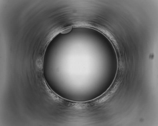 X0000100370905200806131035