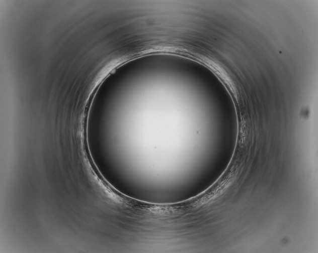 X0000100370906200806131035