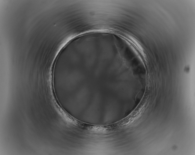 X0000100370907200806131035