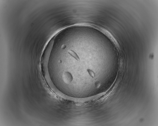 X0000100370908200806131035