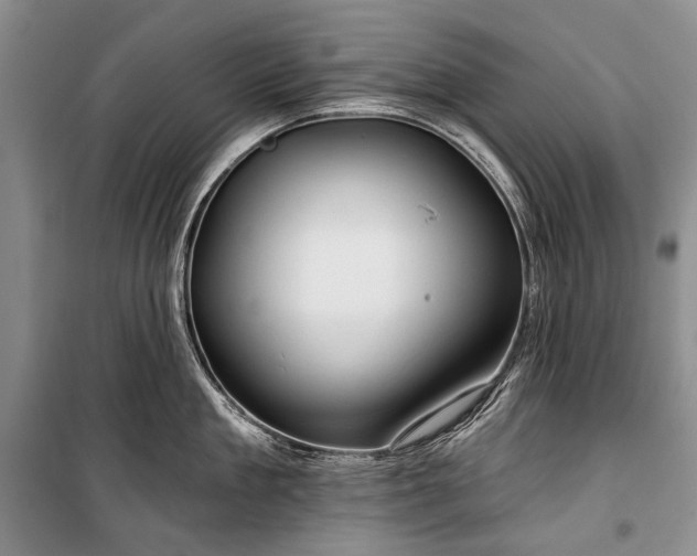 X0000100370909200806131035