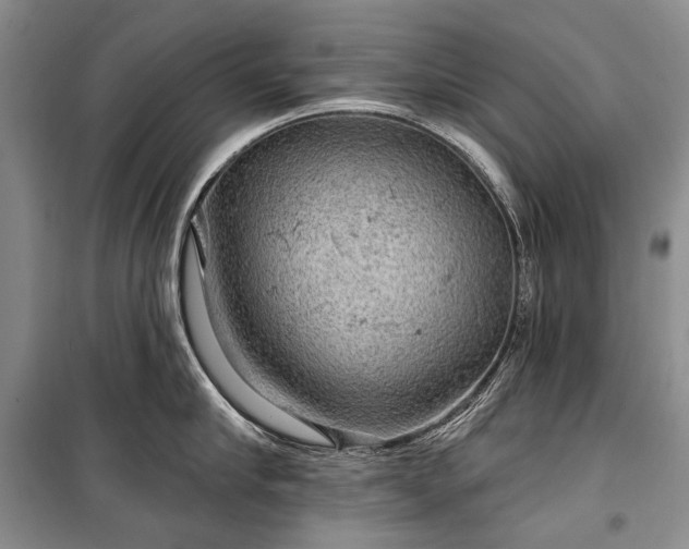 X0000100370910200806131035