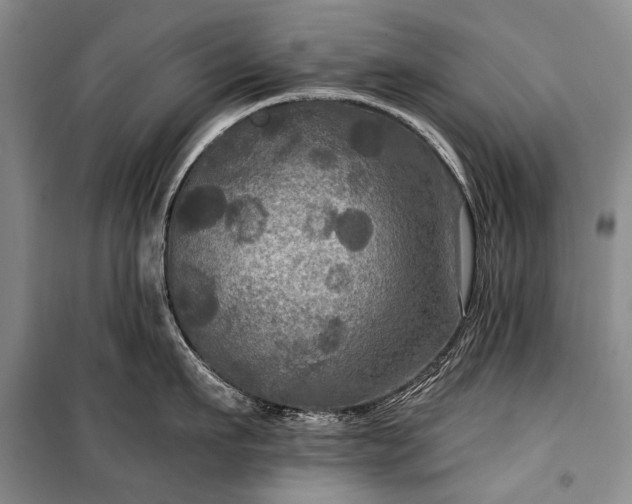 X0000100370911200806131035