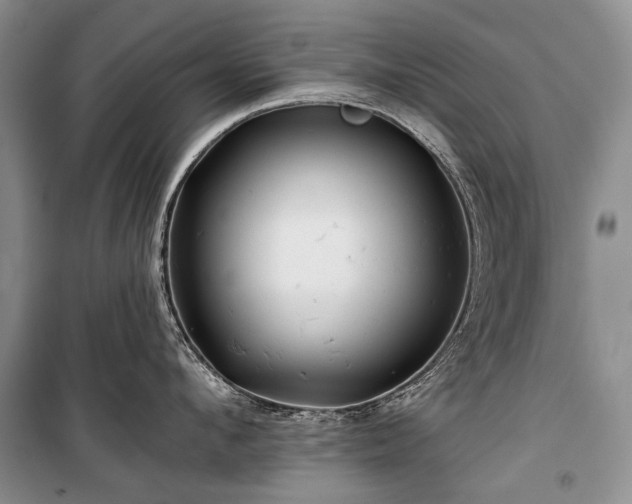 X0000100370912200806131035