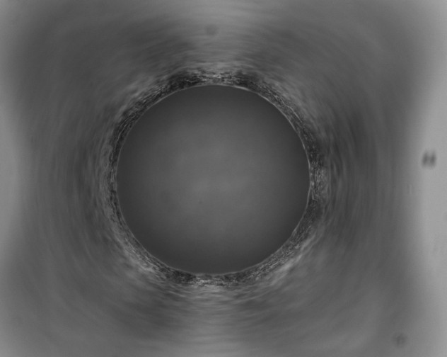 X0000100370913200806131034