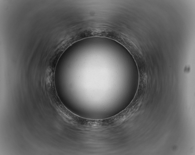 X0000100370914200806131034