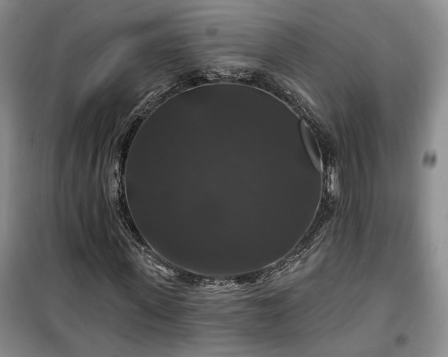 X0000100370915200806131034