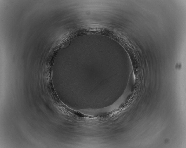 X0000100370916200806131034