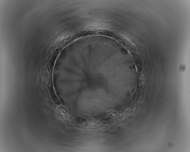 X0000100370917200806131034