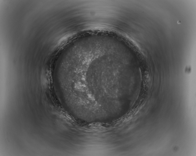 X0000100370918200806131034