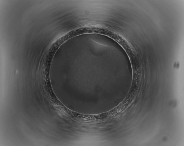 X0000100370919200806131034