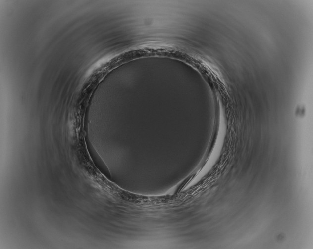 X0000100370920200806131034